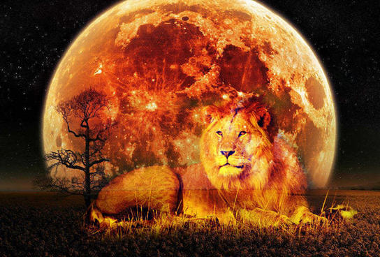 Новолуние в знаке Льва: что ожидает разные знаки Зодиака
