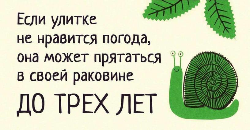 20 невероятных фактов о животных, которые как то даже в голове не укладываются