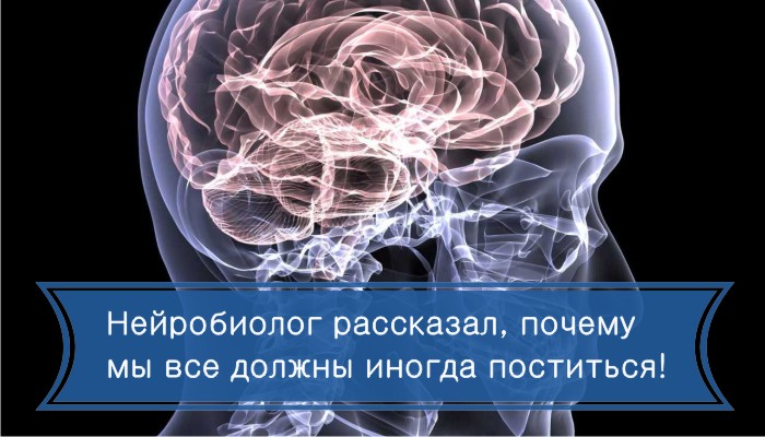 Нейробиолог рассказал, почему мы все должны иногда поститься!