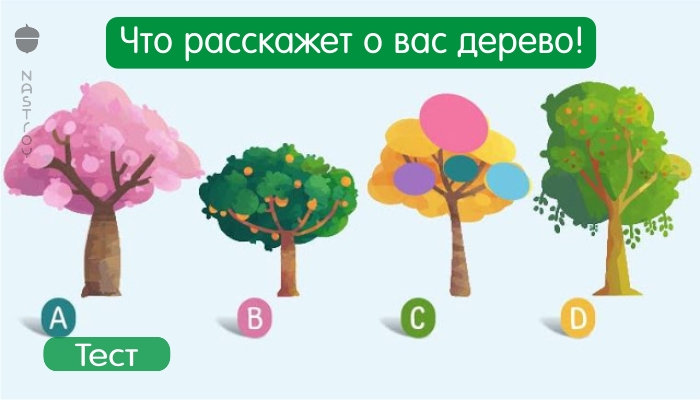 Выберите понравившееся вам дерево и узнайте слово, которое характеризует вас!