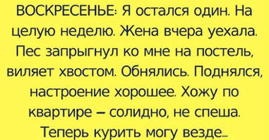 Отрывок из дневника одного мужа, который остался на неделю один