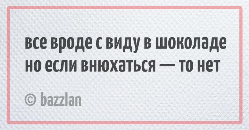 20 веселых и непредсказуемых двустиший о нашей жизни