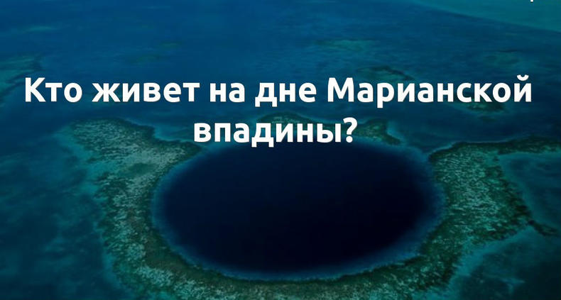 КТО ЖИВЕТ НА ДНЕ МАРИАНСКОЙ ВПАДИНЫ?