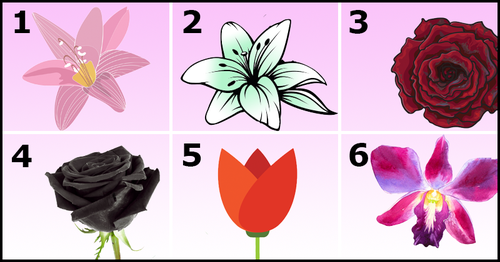 Выберите самый красивый цветок и узнайте секреты вашей личности