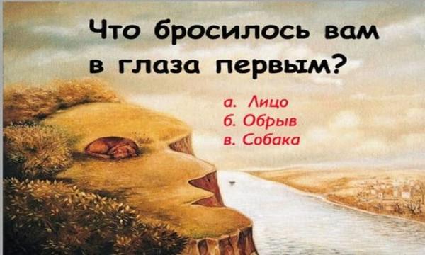 Сможете ли вы пройти этот уникальный тест на восприятие?