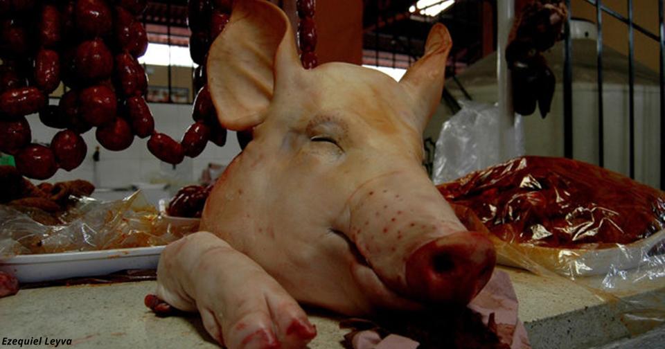 90% людей верят, что свинина вредна. Но оказалось, что это все вранье! 