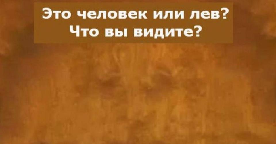 Ответьте на 11 вопросов - и узнаете, в каких науках вы особенно сильны! 