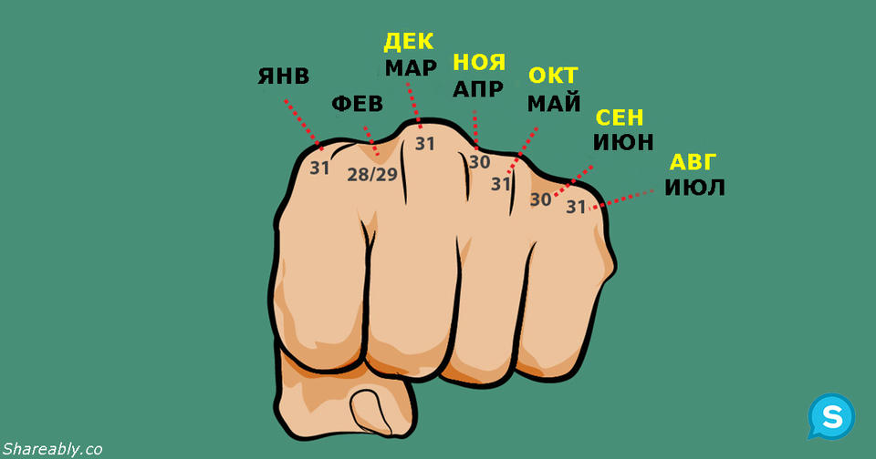 9 трюков, о которых мы узнали еще в школе, и которые помогают нам жить сегодня