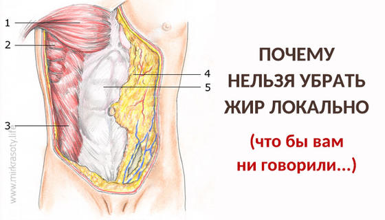 Почему нельзя убрать жир локально