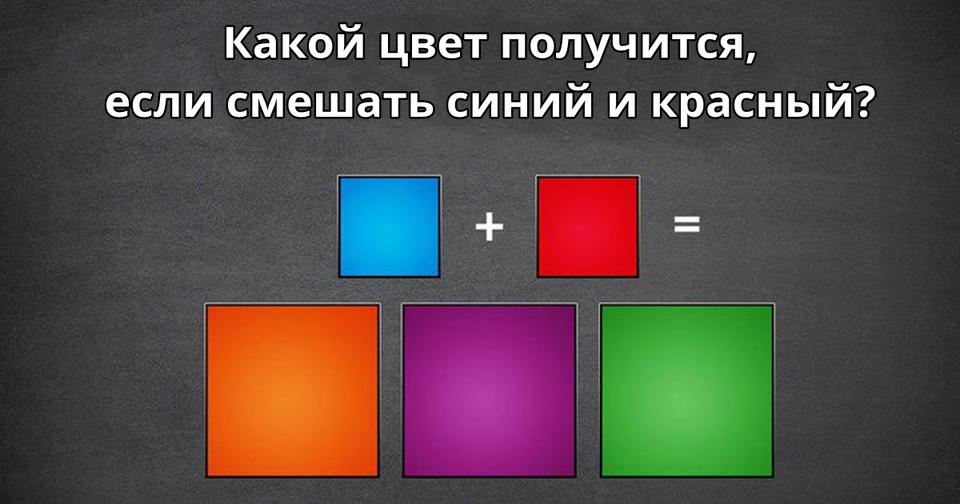 Сможете ли вы ответить на 15 самых обычных вопросов из школьной программы?