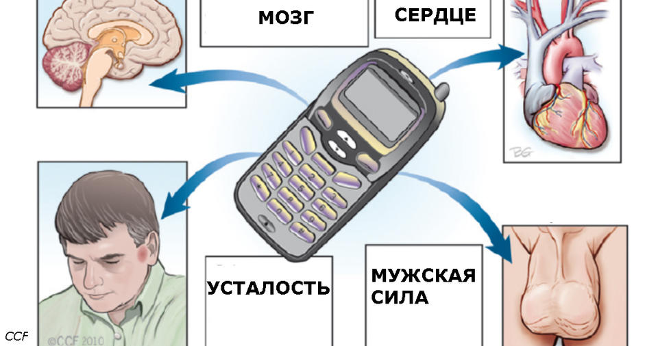 Вот все мифы и факты о том, как телефон влияет на ваше здоровье