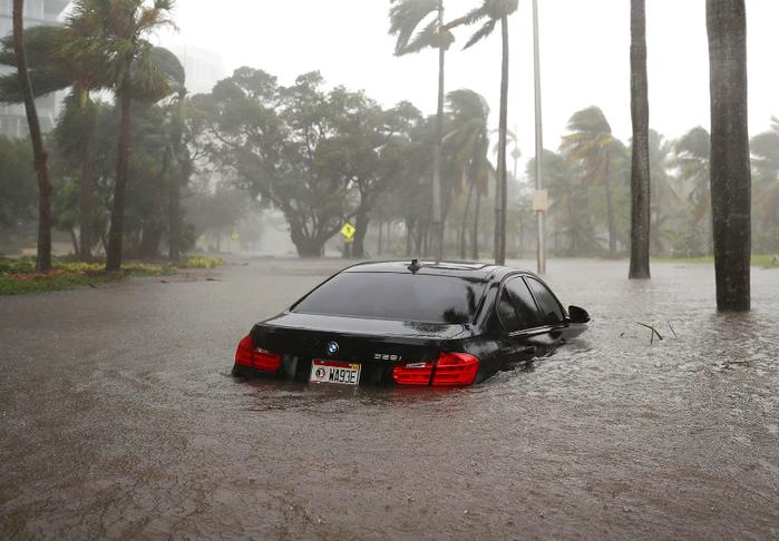 Смотрите, во что превратился Майами после урагана! Это ужасно! 