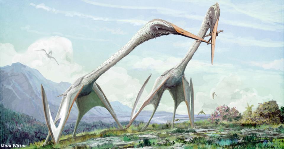 В Румынии нашли кости летающих динозавров, которые были размером с дом! 