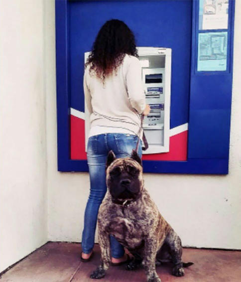 13 лучших способов защитить себя, когда снимаешь деньги у банкомата