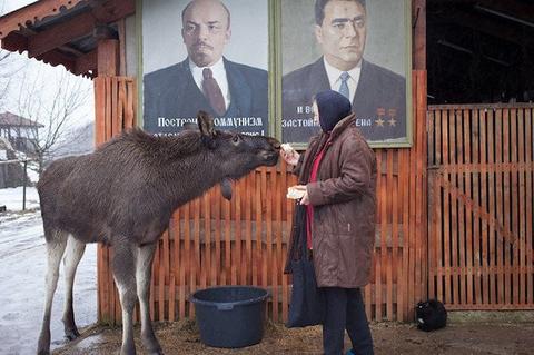 25 фото, доказывающих, что умом Россию действительно не понять