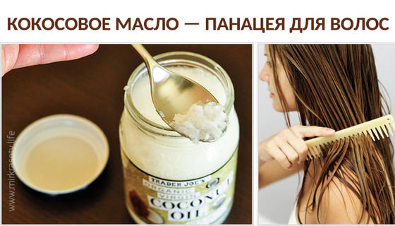 Секреты применения кокосового масла для волос