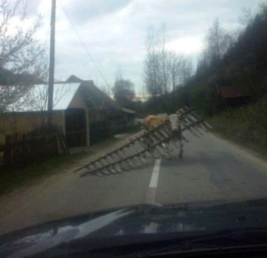 25 забавных фотографий, которые показывают, что национальная самоирония — наше всё