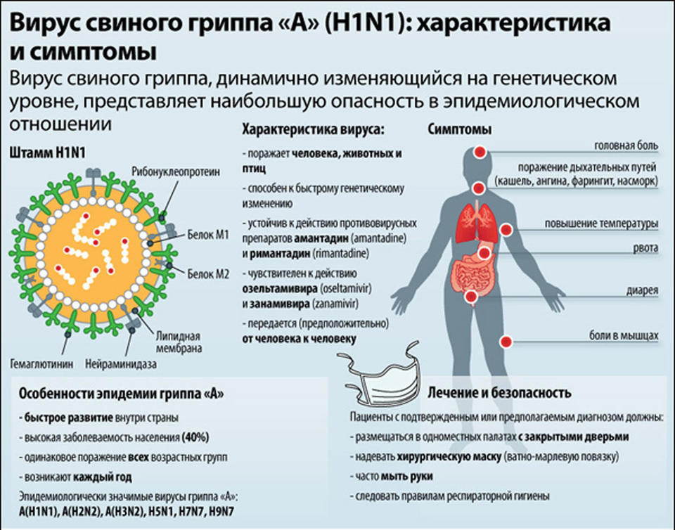 На Восточную Европу идет новая эпидемия свиного гриппа. Вот что надо знать