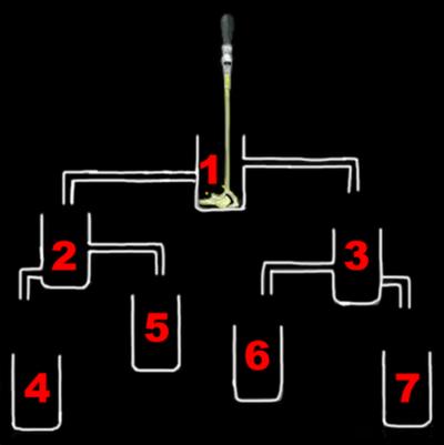 Какой из 7 бокалов пива наполнится первым? 