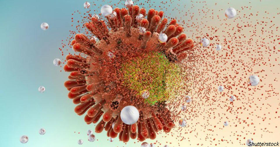 Супер прорыв: появились антитела, которые убивают 99% штаммов СПИДа!