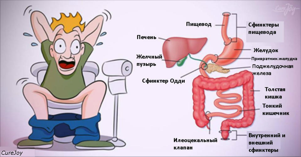 10 суперпродуктов, чтобы очистить кишечник от токсинов и сбросить до 7 кг