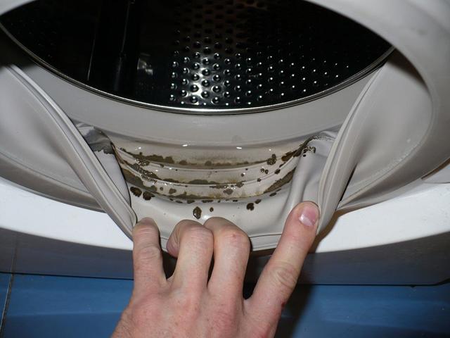 Чудо метод, который поможет избавиться от плесени в стиральной машине!