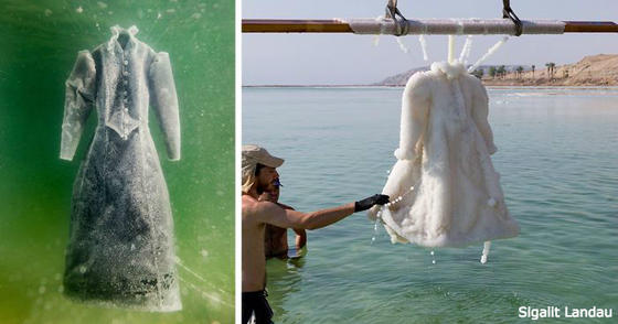 Художник бросил платье в Мертвое море на 2 года. Получился шедевр!