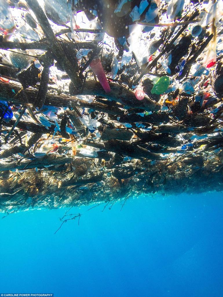 Шокирующие фото о том, что делают с морями все эти пластиковые бутылки и пакеты