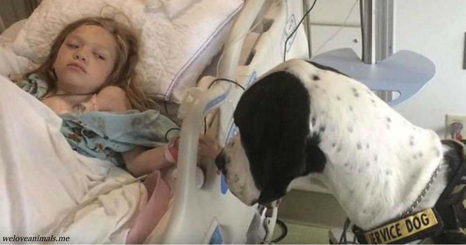 Невероятная история о том, как собака спасла жизнь этой девочке, растрогает вас до слез! 