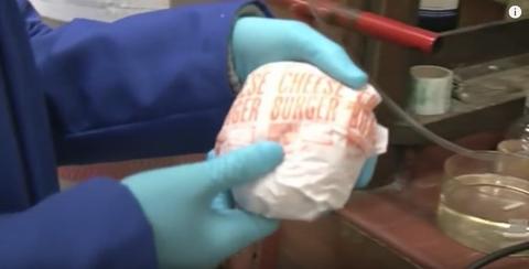 Эксперимент с бургером, после которого вы больше никогда не пойдете в МакДональдс!