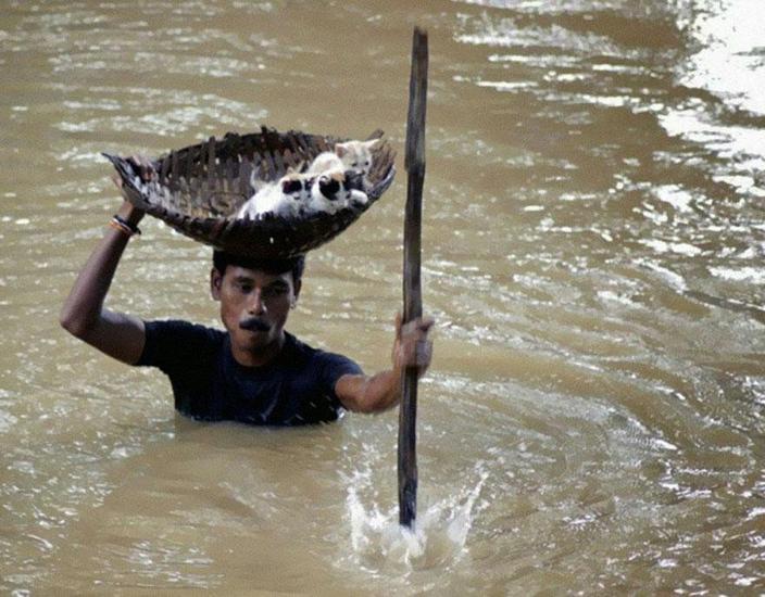 25 фото, от которых кровь в ваших жилах просто застынет