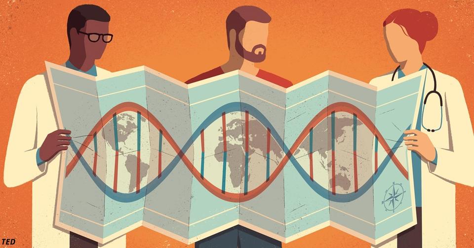 Люди   родственники капусты, и еще 19 невероятных фактов о генах и генетике