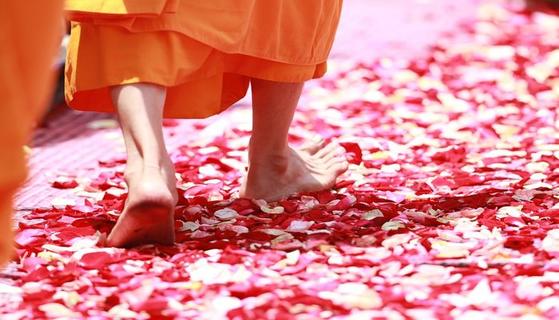 Как очистить дом от скверны: 7 советов буддийского монаха