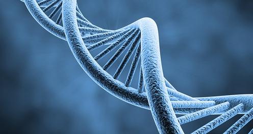 Люди - родственники капусты, и еще 19 невероятных фактов о генах и генетике