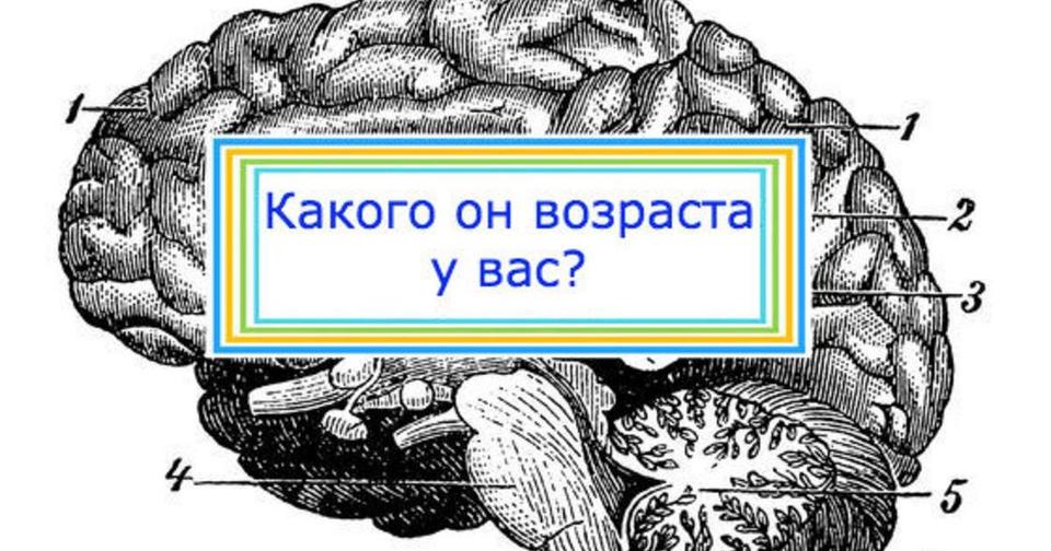 Какому возрасту соответствует ваше мышление?