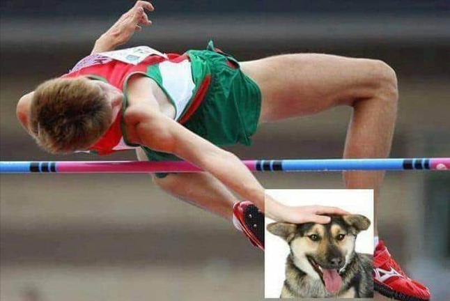 В интернете набирает популярность шутка про то, что собаку можно гладить в любой ситуации, и работы фотошоперов вас развеселят