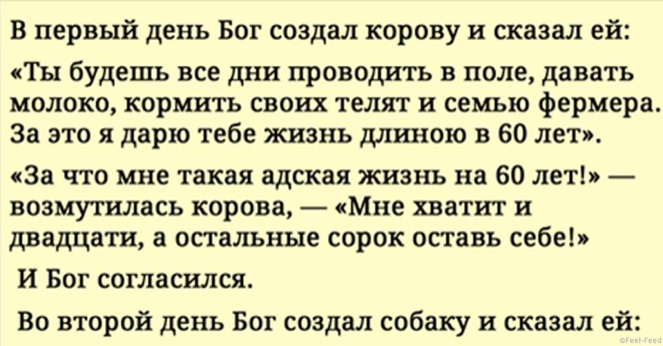 Самая Мудрая Притча, Которую Я Читала За Последнее Время!