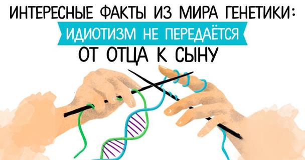 Интересные факты из мира генетики: идиотизм не передаётся от отца к сыну