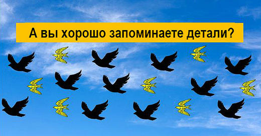 Тест: Спорим, мы угадаем ваш возраст по тому, как вы запоминаете детали?