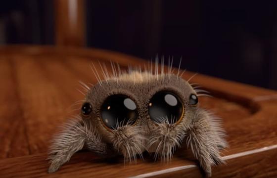 Этот милый ролик от аниматора Disney заставит вас полюбить пауков, даже если вы их до смерти боялись