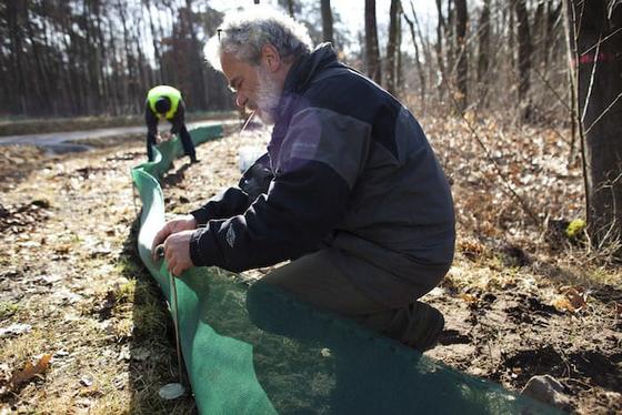 17 добрых фактов, после прочтения которых на душе становится теплее