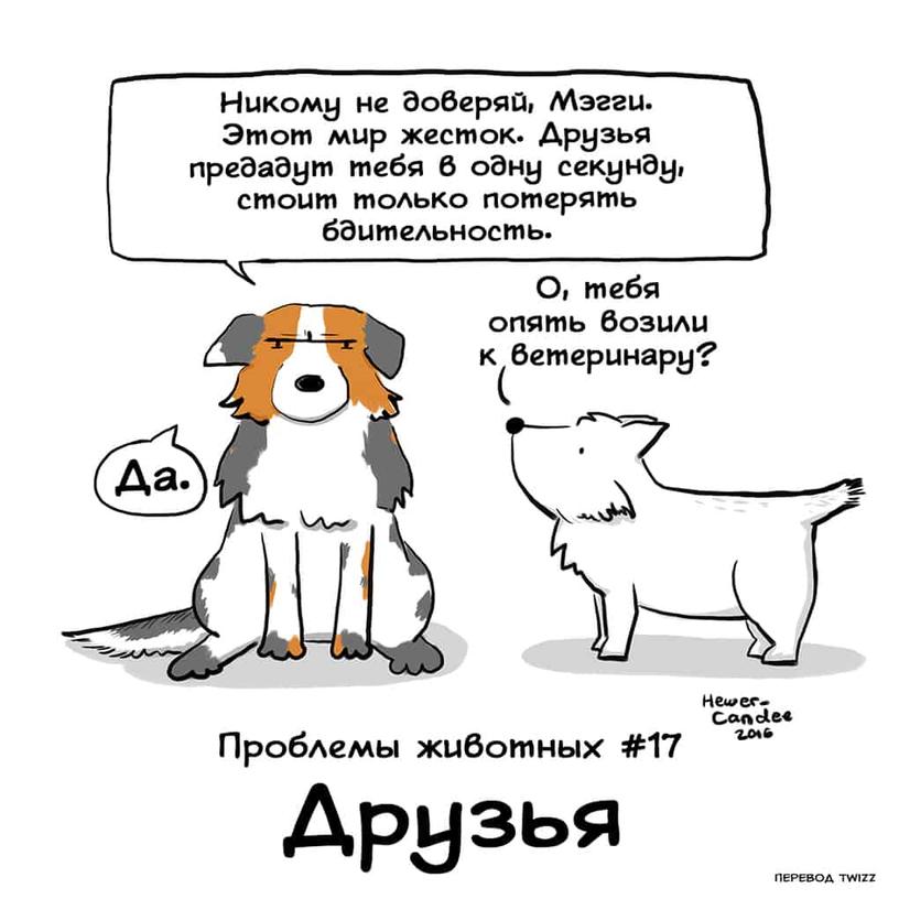 18 комиксов, которые расскажут о самых неожиданных проблемах, с которыми животные сталкиваются каждый день