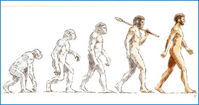 15 хлестких карикатур о теории эволюции, в которых вы узнаете себя