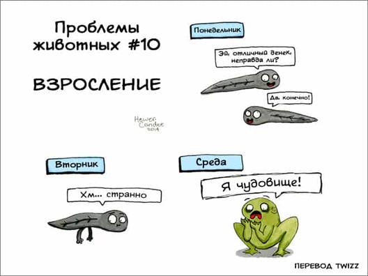 18 комиксов, которые расскажут о самых неожиданных проблемах, с которыми животные сталкиваются каждый день