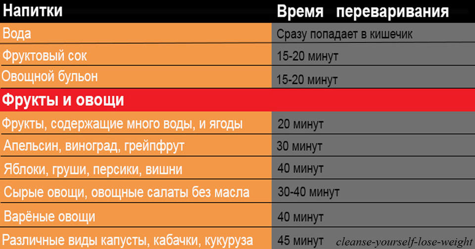 Время, которое требуется для переваривания разных продуктов в организме