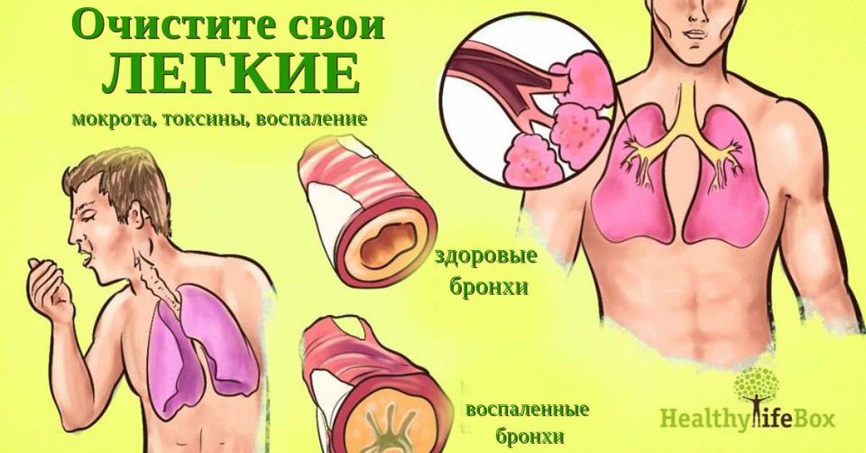 Вот 5 средств, чтобы избавиться от мокроты и слизи в легких