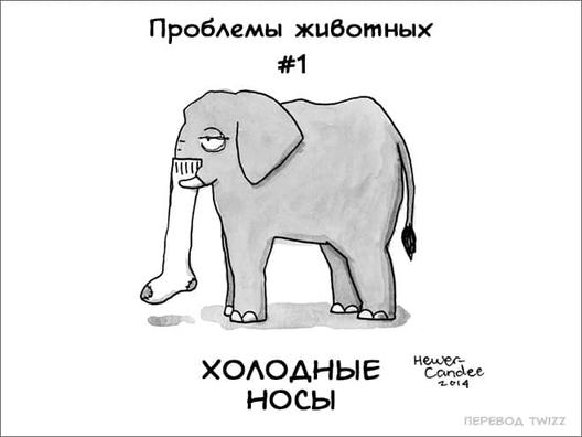 18 комиксов, которые расскажут о самых неожиданных проблемах, с которыми животные сталкиваются каждый день