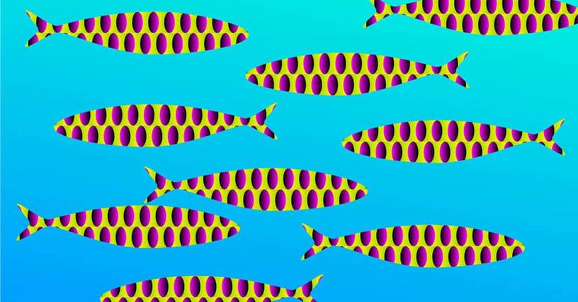 15 оптических иллюзий, которые ломают мозг, но оторваться от них просто невозможно