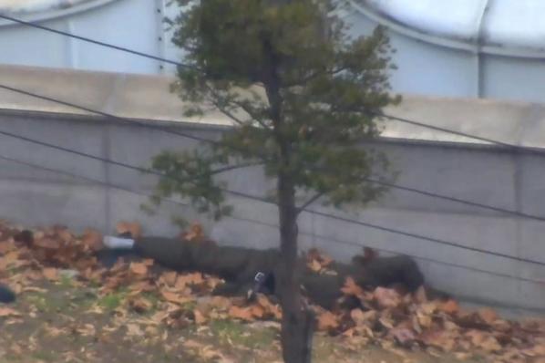Солдат КНДР сбежал в Южную Корею. Вот видео, как по нем стреляли его сослуживцы!