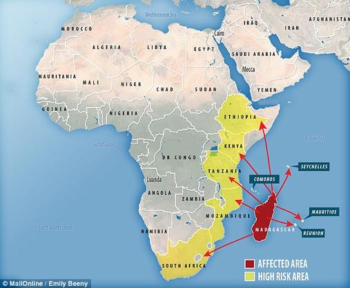 В Африке - вспышка ЧУМЫ! На Мадагаскаре уже 1300 больных! 